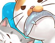 猫宅日记