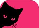 猫生模拟器