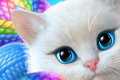 可爱的小猫软件logo图
