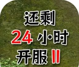 还有24小时开服2