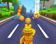 贝母猫跑跳