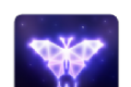 璀璨星光