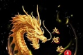 九旭轮回专属