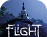 Flight