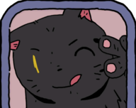 猫猫喵喵