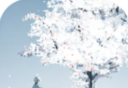 忘雪软件logo图