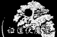 证道伏魔录