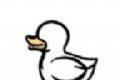 奇怪的鸭子软件logo图