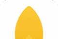 Seed
