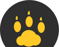 云猫玩