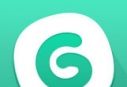 大玩家app