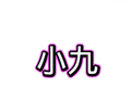 小九框架