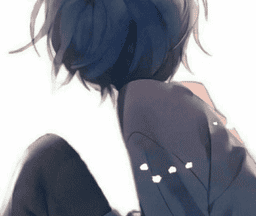 六花端口软件logo图