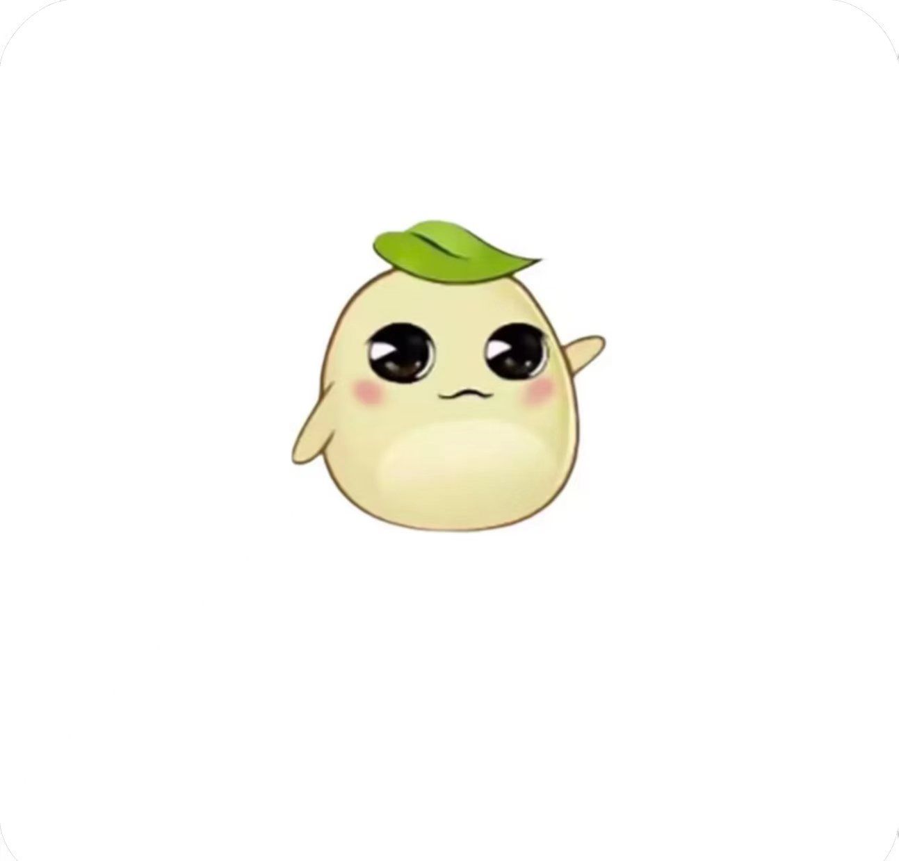 毛豆直装软件logo图