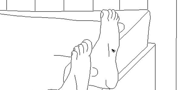 《逝者如斯蝇》免安装汉化版