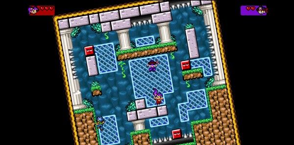 《Shantae Advance: Risky Revolution》免安装版