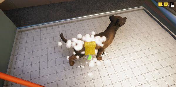 《动物收容所》官方版