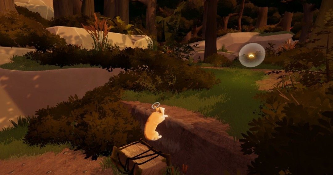 《我的小柯基》官方版