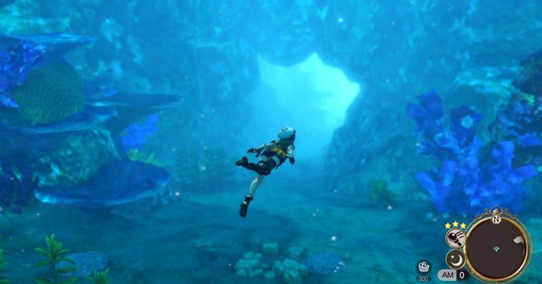 《莱莎的炼金工房2：失落传说与秘密妖精DX》官方版