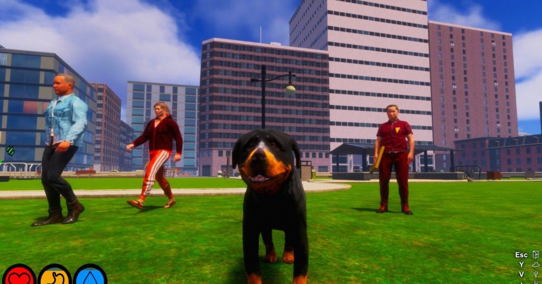 《Lost Paws》官方版