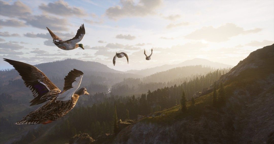 《狩猎之道2》官方版