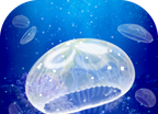 水母养成