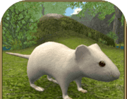 疯狂地鼠3d模拟