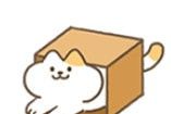 进来吧猫咪纸箱