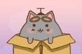 抓住流浪猫软件logo图