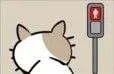 猫咪不见了