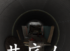 孙美琪疑案:井底人