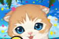 猫岛日记