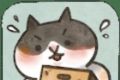 猫箱物语