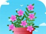 欢乐养花