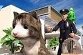 非常宠物猫模拟器