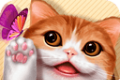 花样猫咪