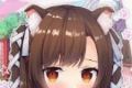 我的高校猫女友