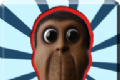 你迷路了