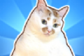 这只猫有毒