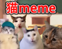猫meme搞怪冒险