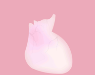 LIFE生命