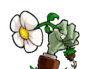 植物大战僵尸时空之乱