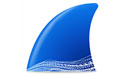 Wireshark升级版软件logo图