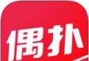 偶扑