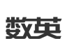 数英软件logo图