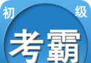 初级会计师