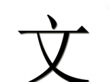 每日一文