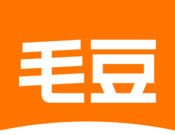 毛豆新车