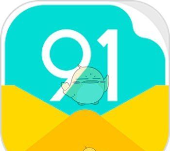 91账单