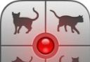 人猫交流器